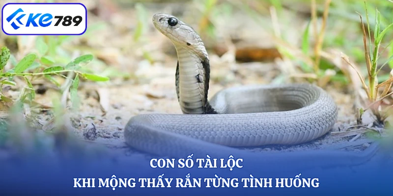 Con số tài lộc khi mộng thấy rắn từng tình huống