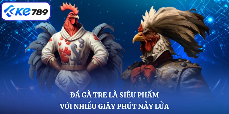 Đá gà tre là siêu phẩm với nhiều giây phút nảy lửa