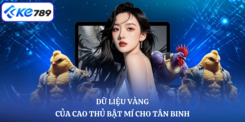 Dữ liệu vàng của cao thủ bật mí cho tân binh
