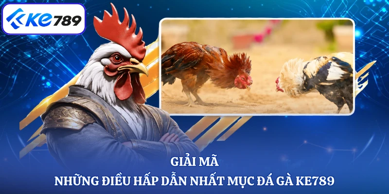 Giải mã những điều hấp dẫn nhất mục đá gà KE789