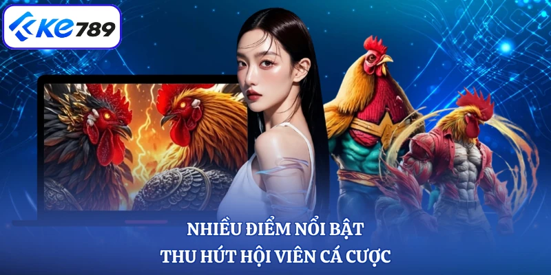 Nhiều điểm nổi bật thu hút hội viên cá cược