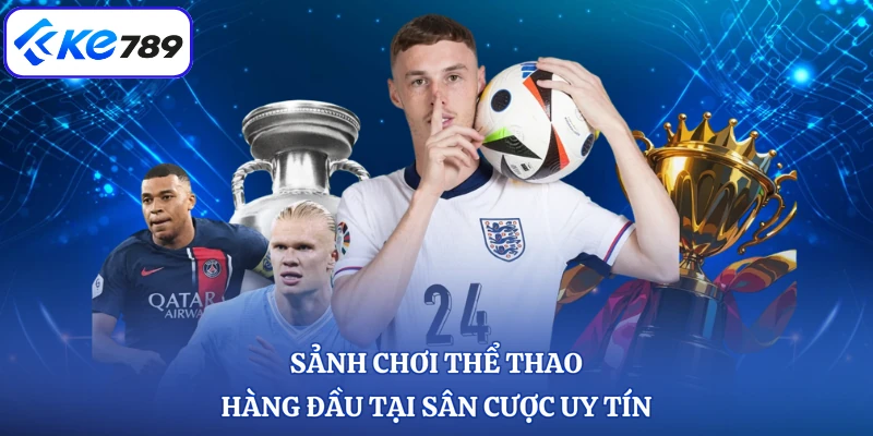 Sảnh chơi thể thao hàng đầu tại sân cược uy tín